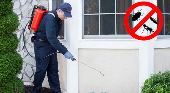 Çamoluk Böcek İlaçlama böcek ilaçlama ve haşere kontrolü — ilaclama-tr.com